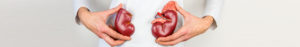 Expert Nephrologist in Colombo for Your Kidney Health | Durdans Hospital