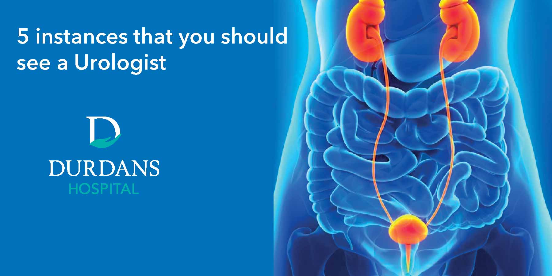 urol-01 Blood in Urine? See a Urologist Now | Durdans Hospital